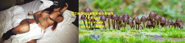 кокаин Алексин