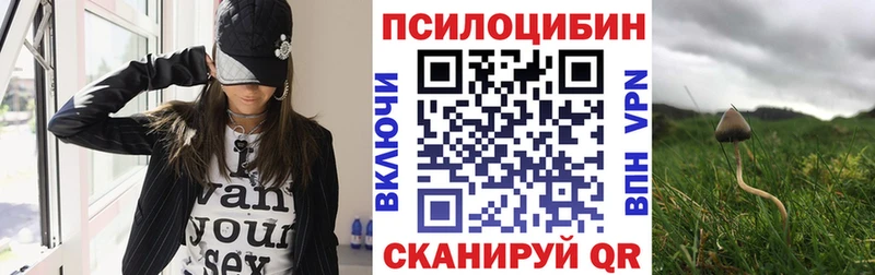 Псилоцибиновые грибы мицелий  Каневская 